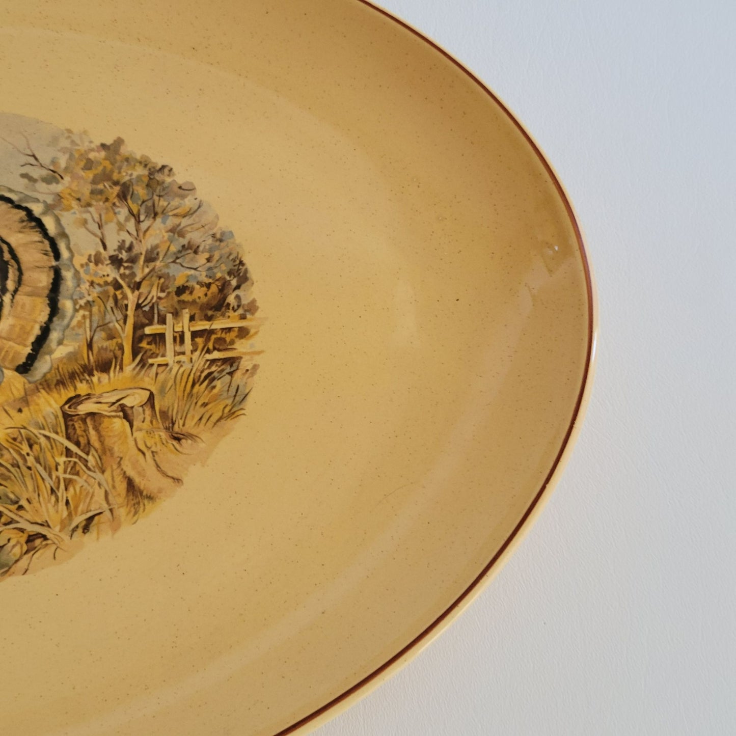 Vintage Hand-Painted Turkey 17" Oval Platter