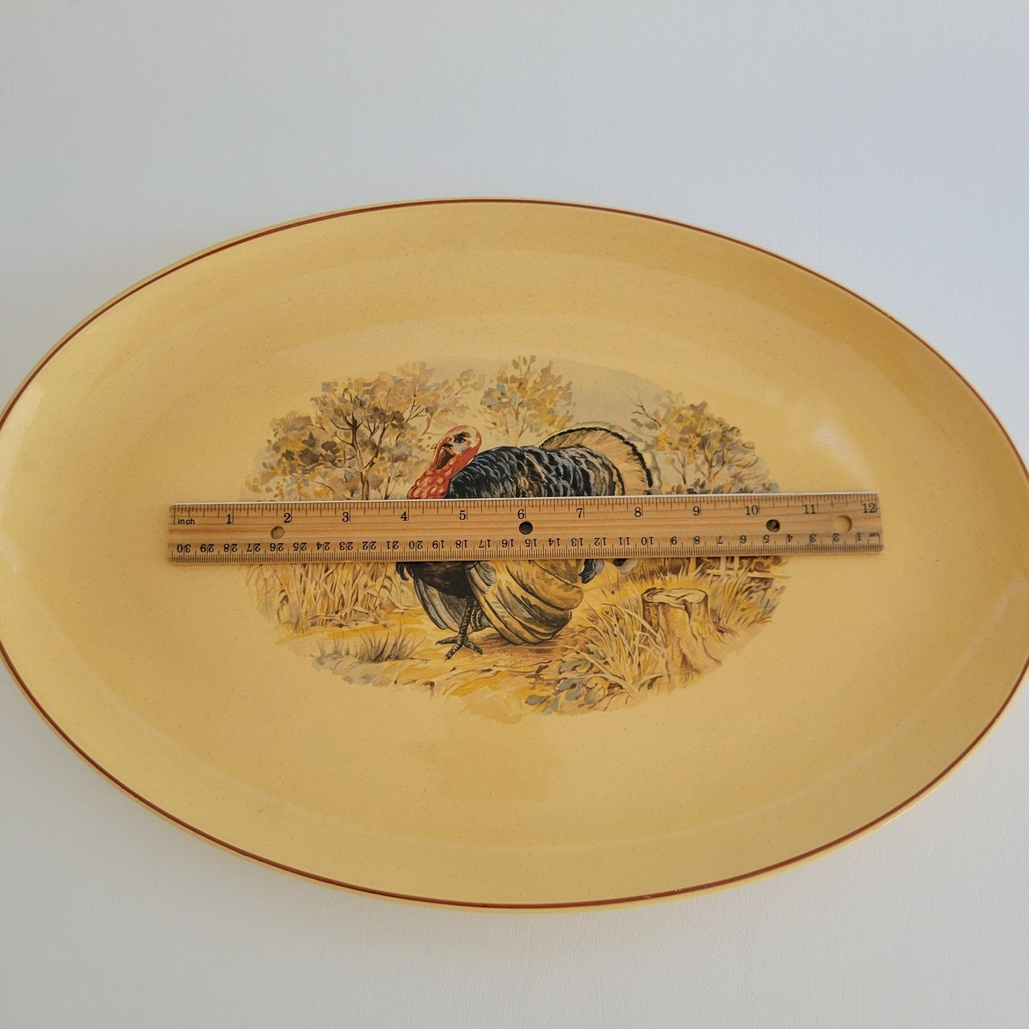 Vintage Hand-Painted Turkey 17" Oval Platter