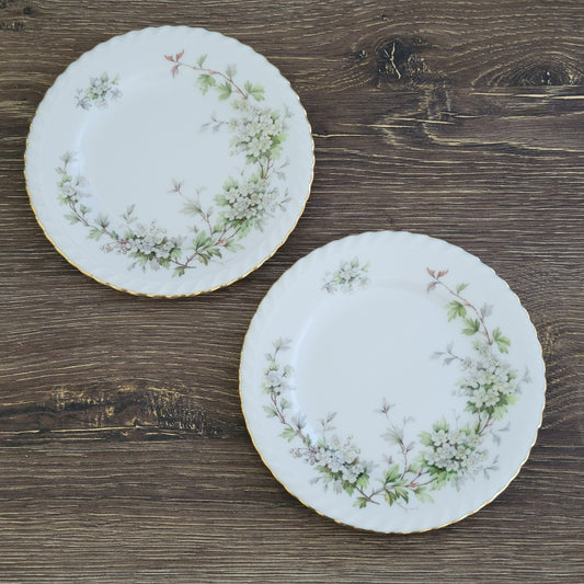 Franconia K&A Krautheim Hawthorn Bread Plate SET of 2, Gadroon Border, c.1964-75 Germany