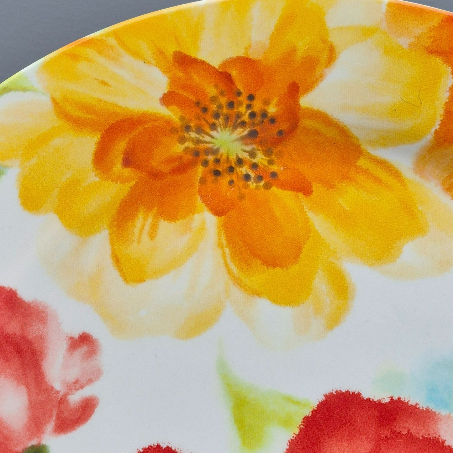 Pier 1 Imports "Amelia" Dinner Plate