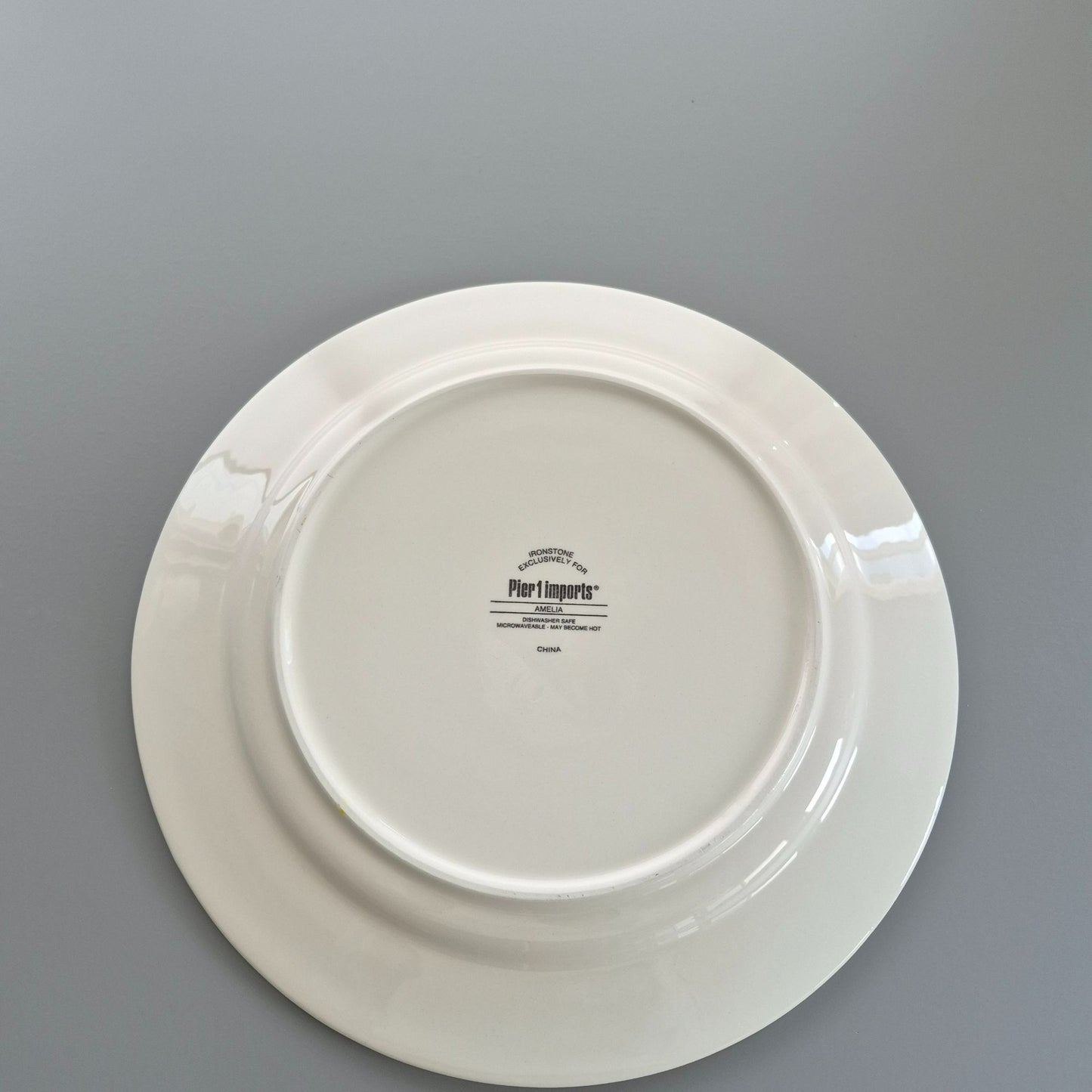 Pier 1 Imports "Amelia" Dinner Plate