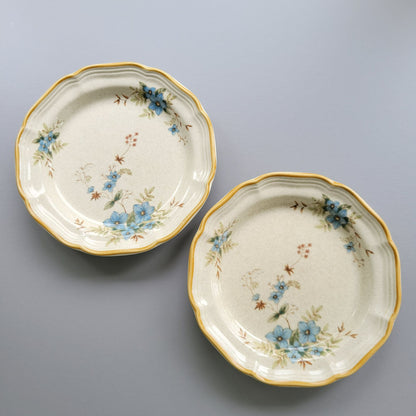 Mikasa Day Dreams Salad Plate, Set of 2, Garden Club Collection