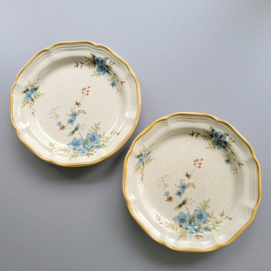 Mikasa Day Dreams Salad Plate, Set of 2, Garden Club Collection