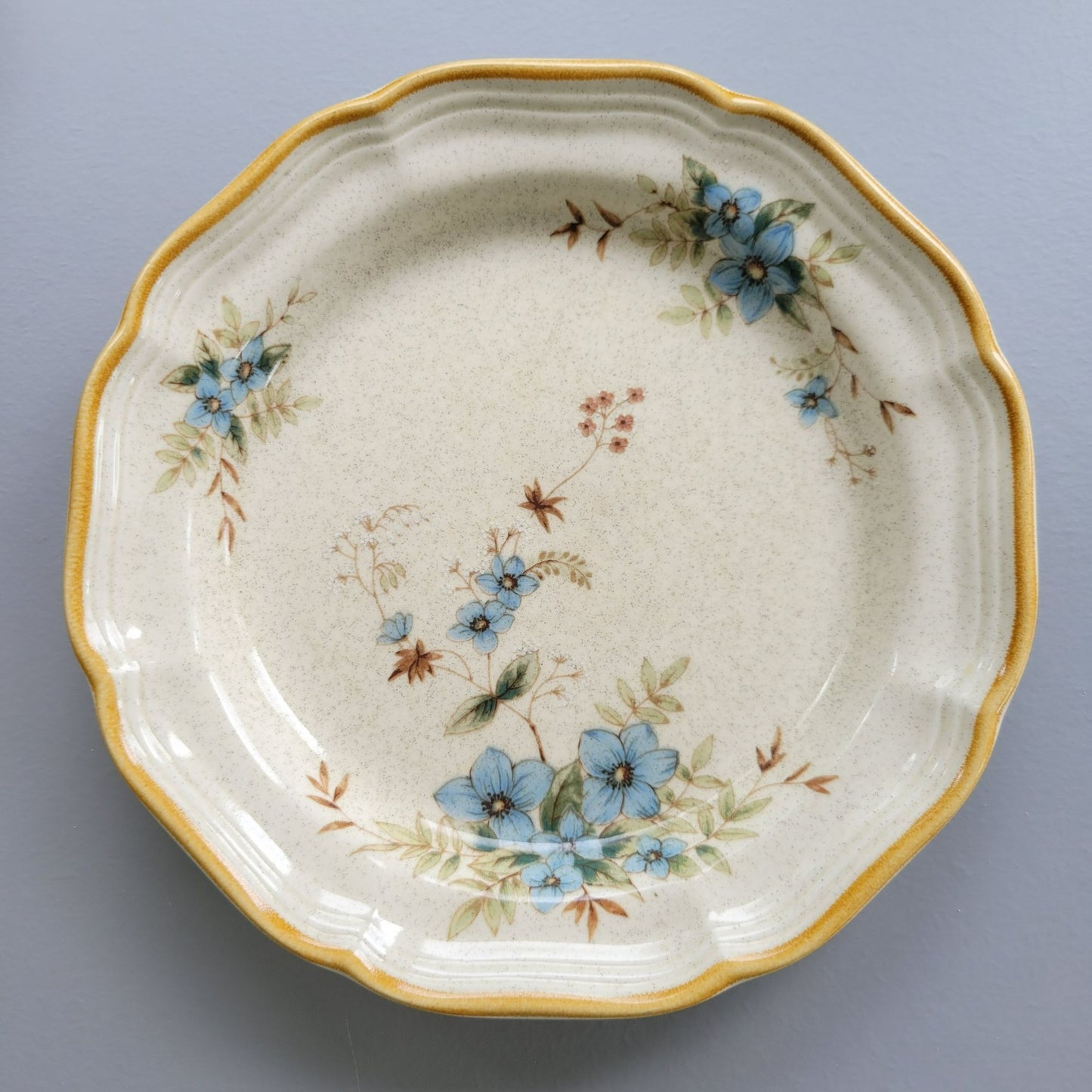 Mikasa Day Dreams Salad Plate, Set of 2, Garden Club Collection