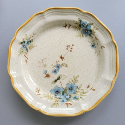 Mikasa Day Dreams Salad Plate, Set of 2, Garden Club Collection