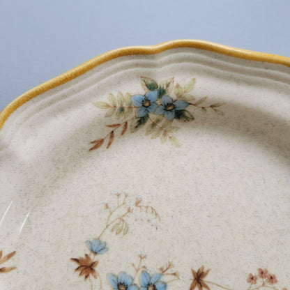 Mikasa Day Dreams Salad Plate, Set of 2, Garden Club Collection