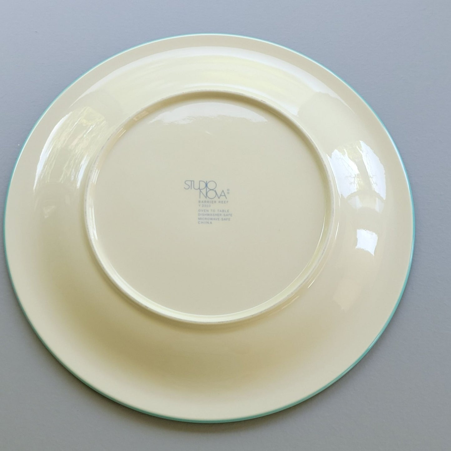 Barrier Reef by Studio Nova Dinner Plate