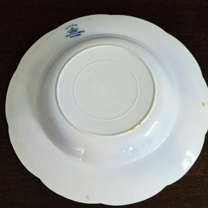 Johnson Brothers "Clifton" Rimmed Soup Bowl, England