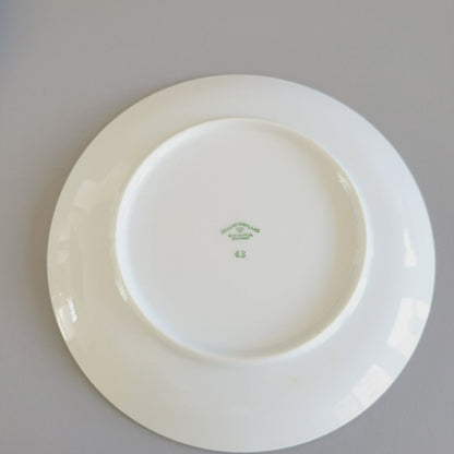Johann Haviland Wedding Ring Salad Plate, Set of 2, Platinum Trim