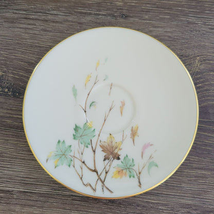 Lenox Westwind Teacup & Saucer, 2 Sets, USA Made