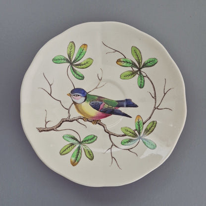 Spode "Christopher Wren" Saucer, Set of 2, Made in England