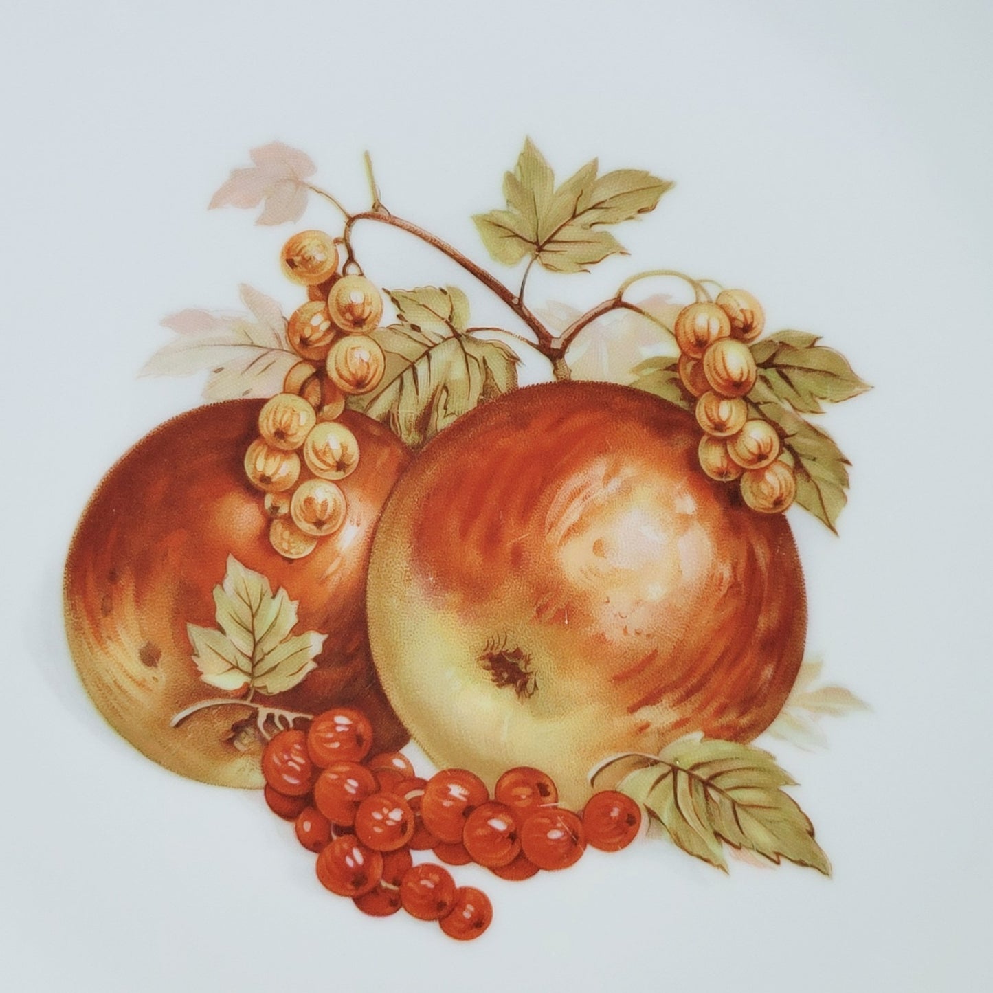 PM Jaeger & Co. Harvest Dinner Plate, Red Apple & Berry, c.1950-60 Bavaria Germany