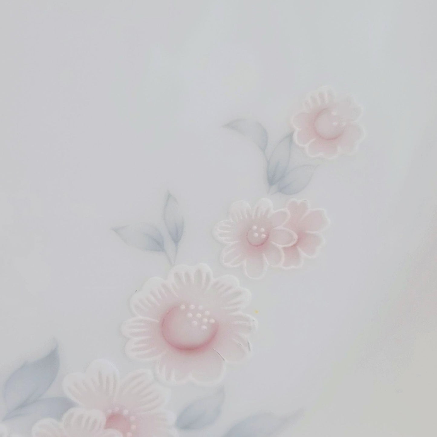 Noritake Carthage Dinner Plates, Set of 2, Shabby Chic Floral
