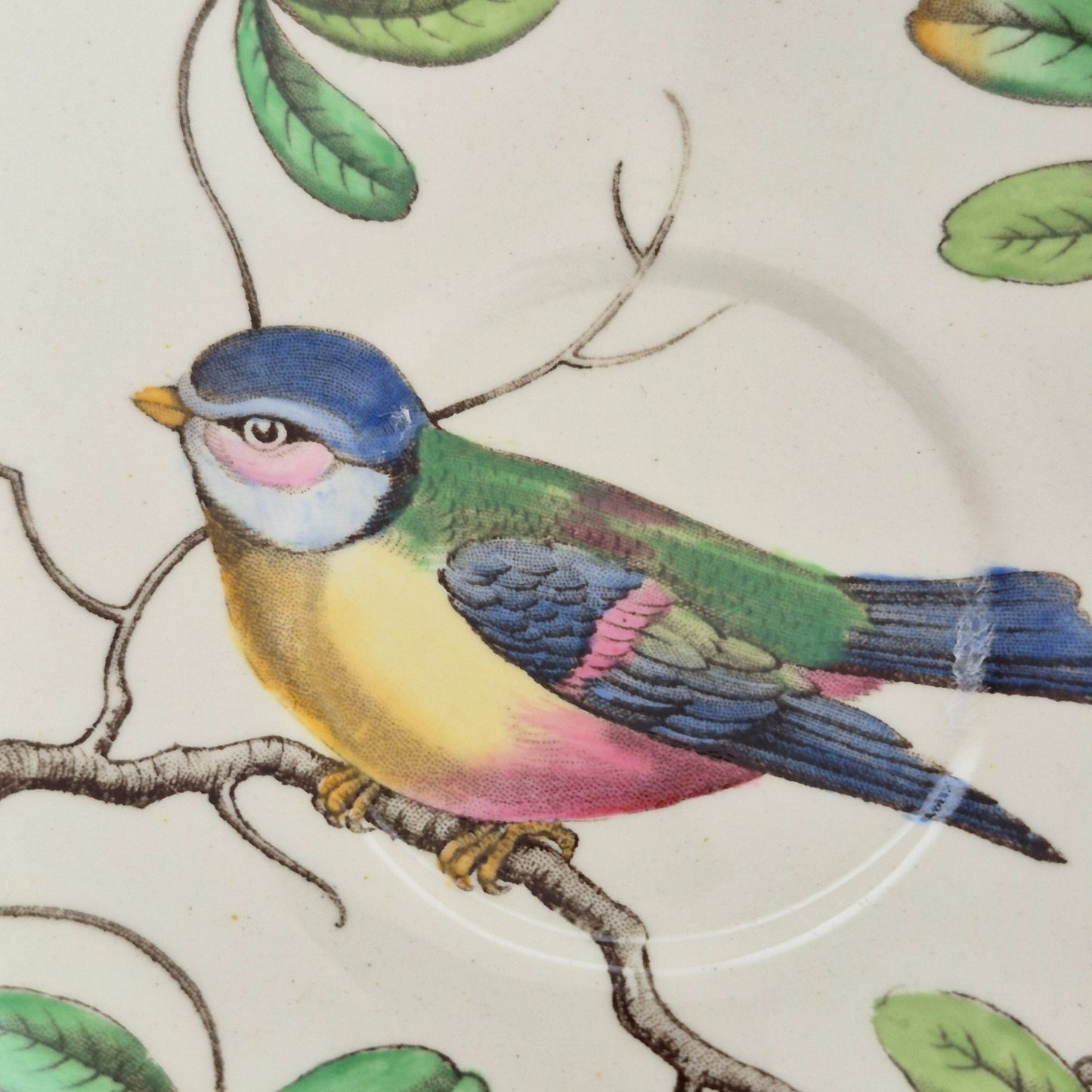 Spode "Christopher Wren" Saucer, Set of 2, Made in England