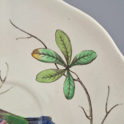 Spode "Christopher Wren" Saucer, Set of 2, Made in England