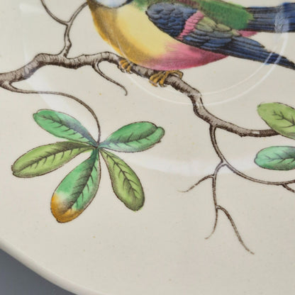 Spode "Christopher Wren" Saucer, Set of 2, Made in England