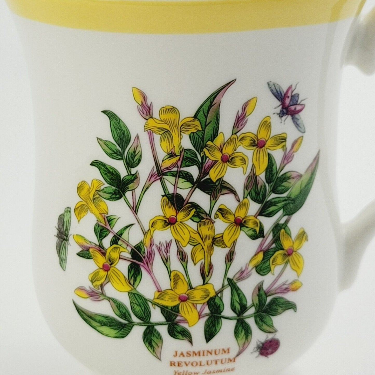 Portmeirion Botanic Garden Terrace Jasmine Mug