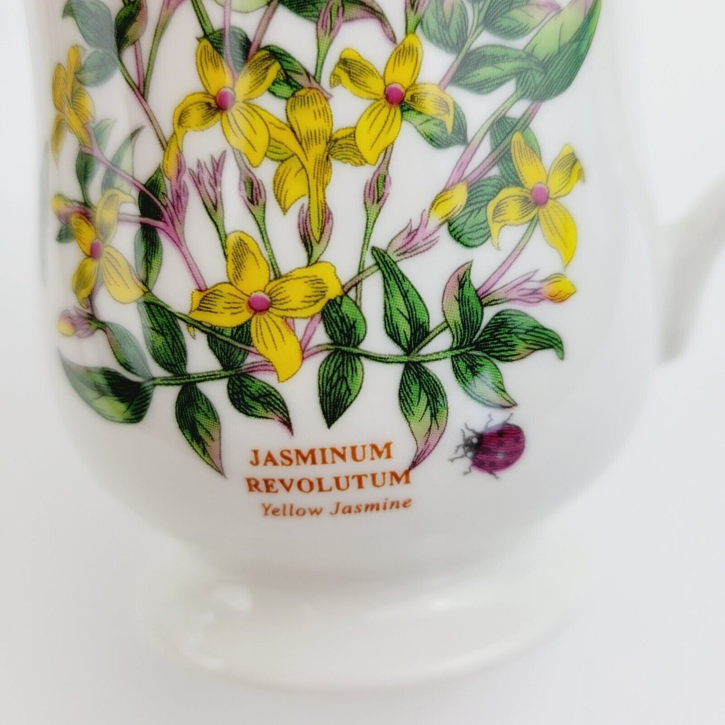 Portmeirion Botanic Garden Terrace Jasmine Mug