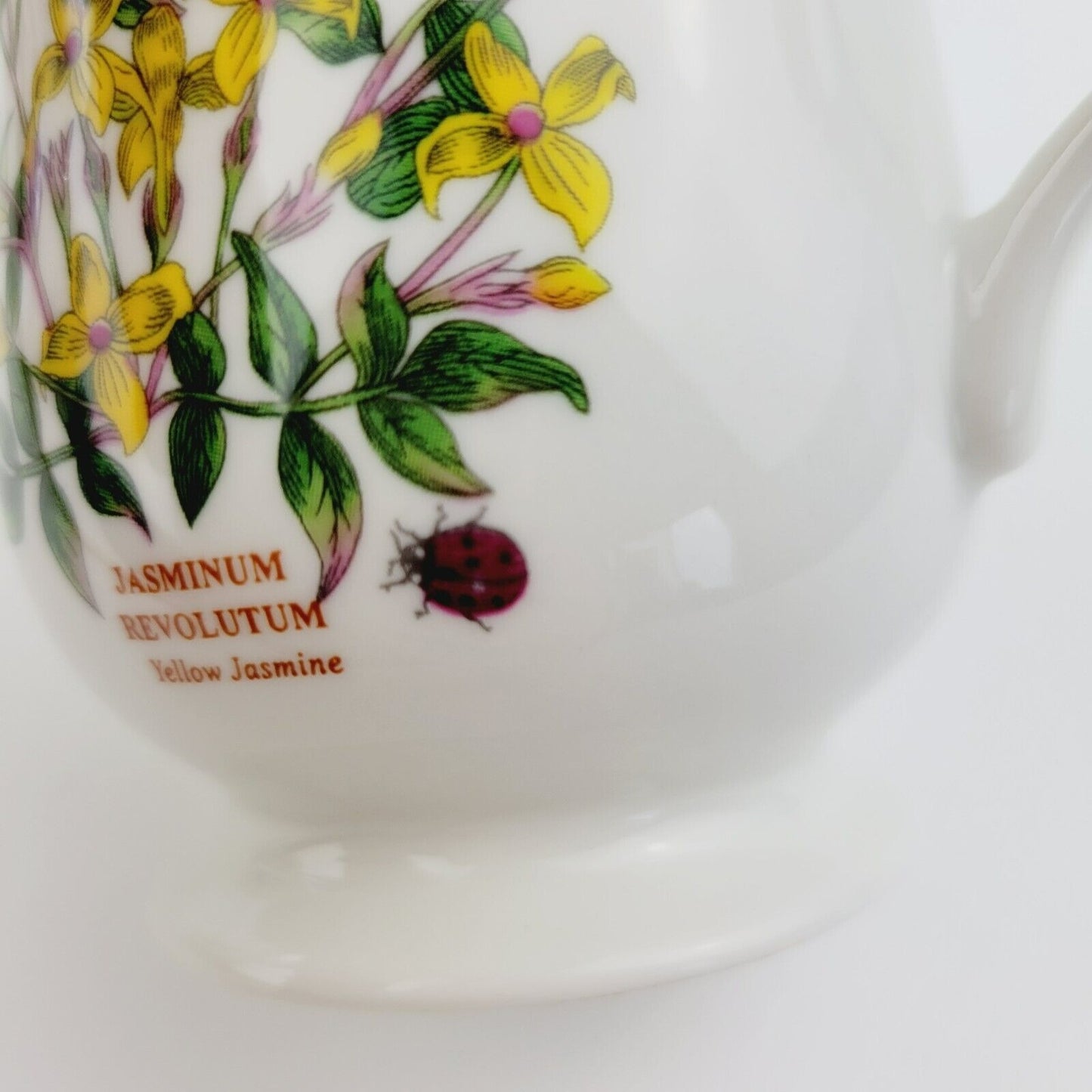 Portmeirion Botanic Garden Terrace Jasmine Mug