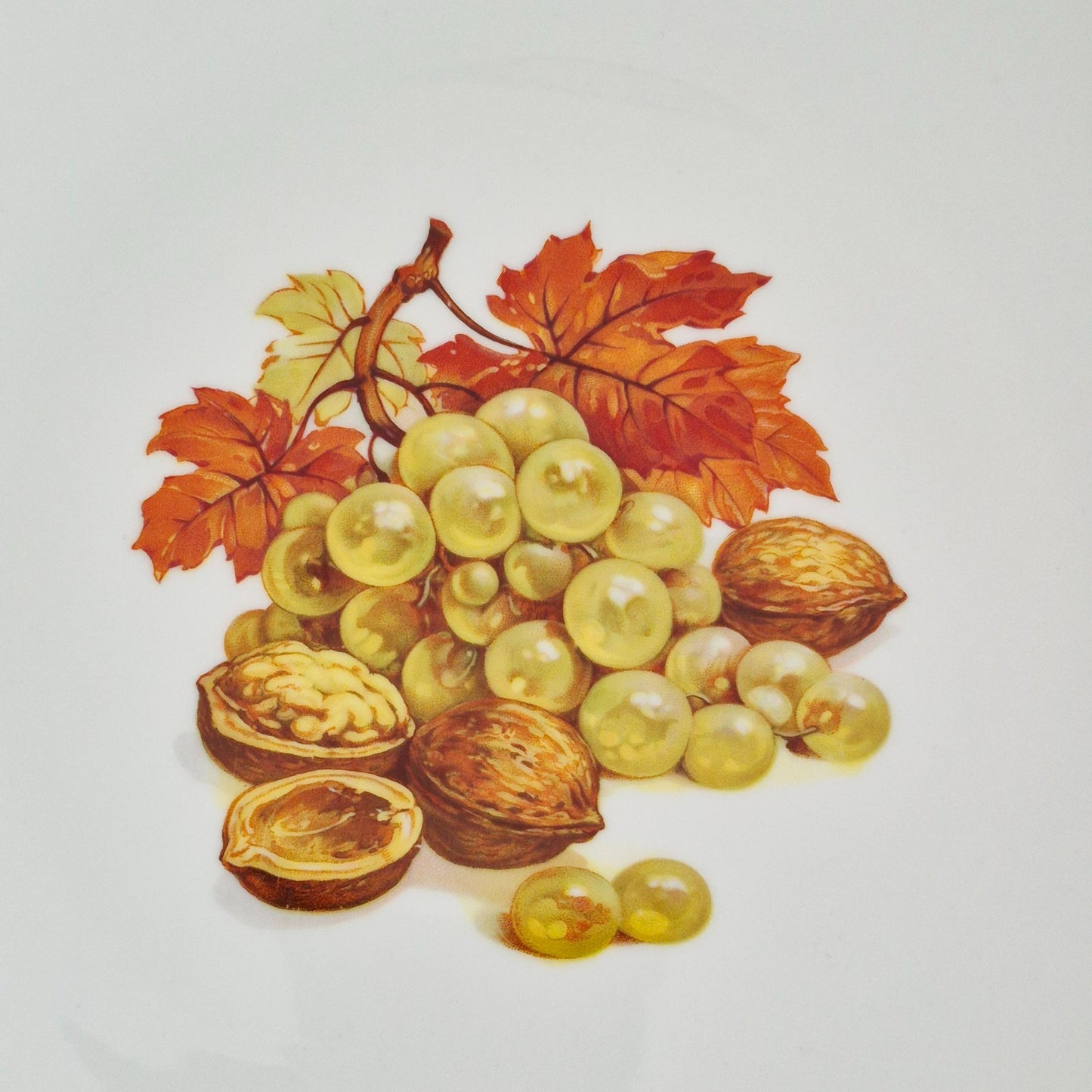 Bareuther Grape & Nuts Dinner Plates, c.1970-90s Germany