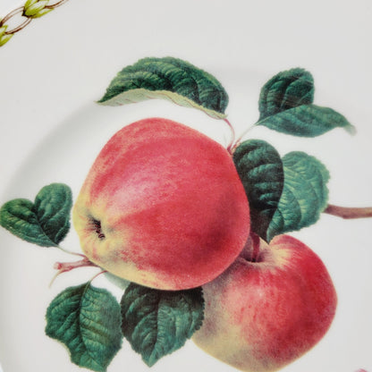 Queen's  Hookers Fruit Apple Salad Plate, Set of 2, Made in England