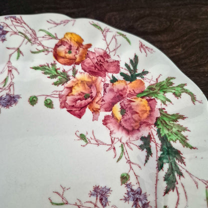 Royal Doulton "Sherborne" Dinner Plate, c.1938-1961 England