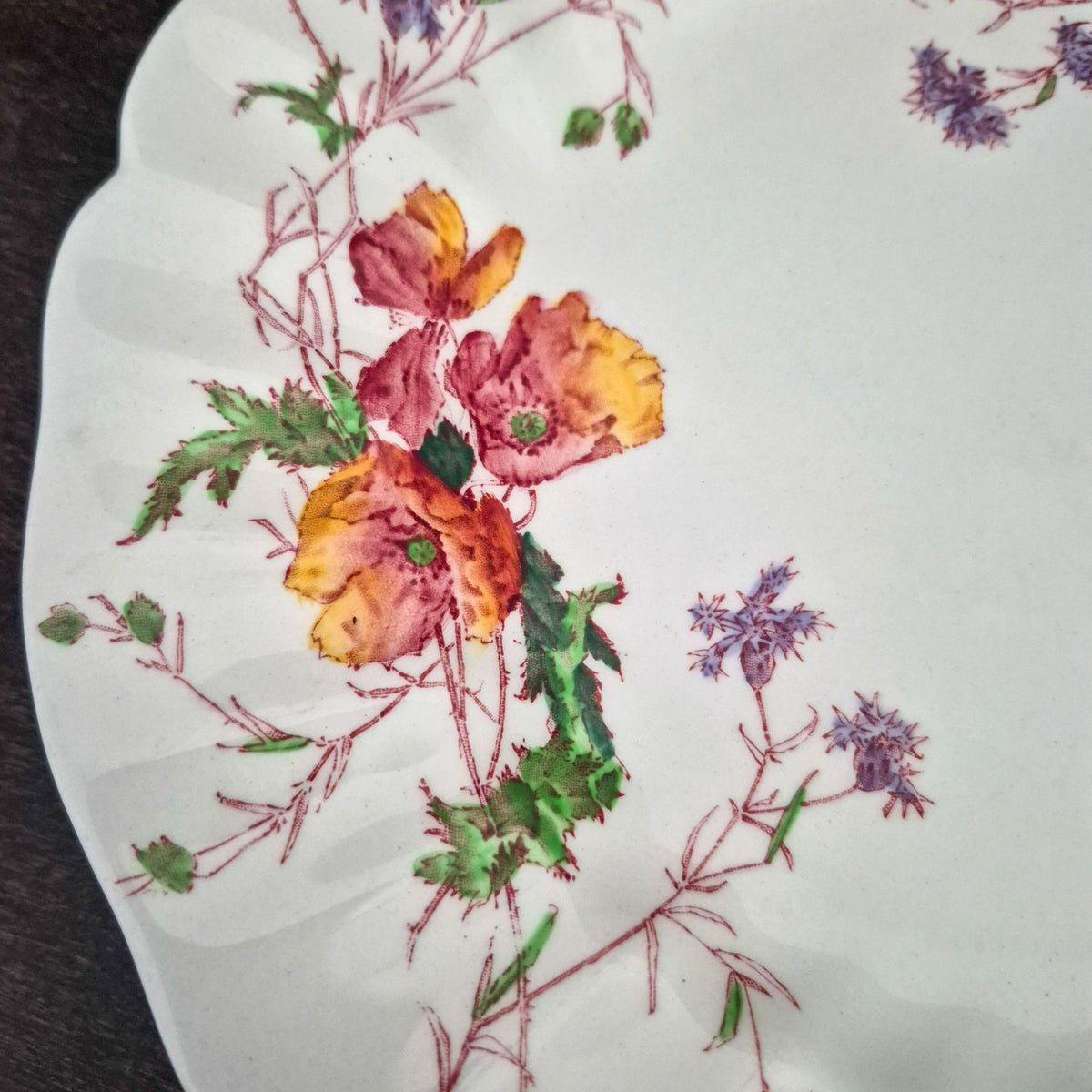 Royal Doulton "Sherborne" Dinner Plate, c.1938-1961 England