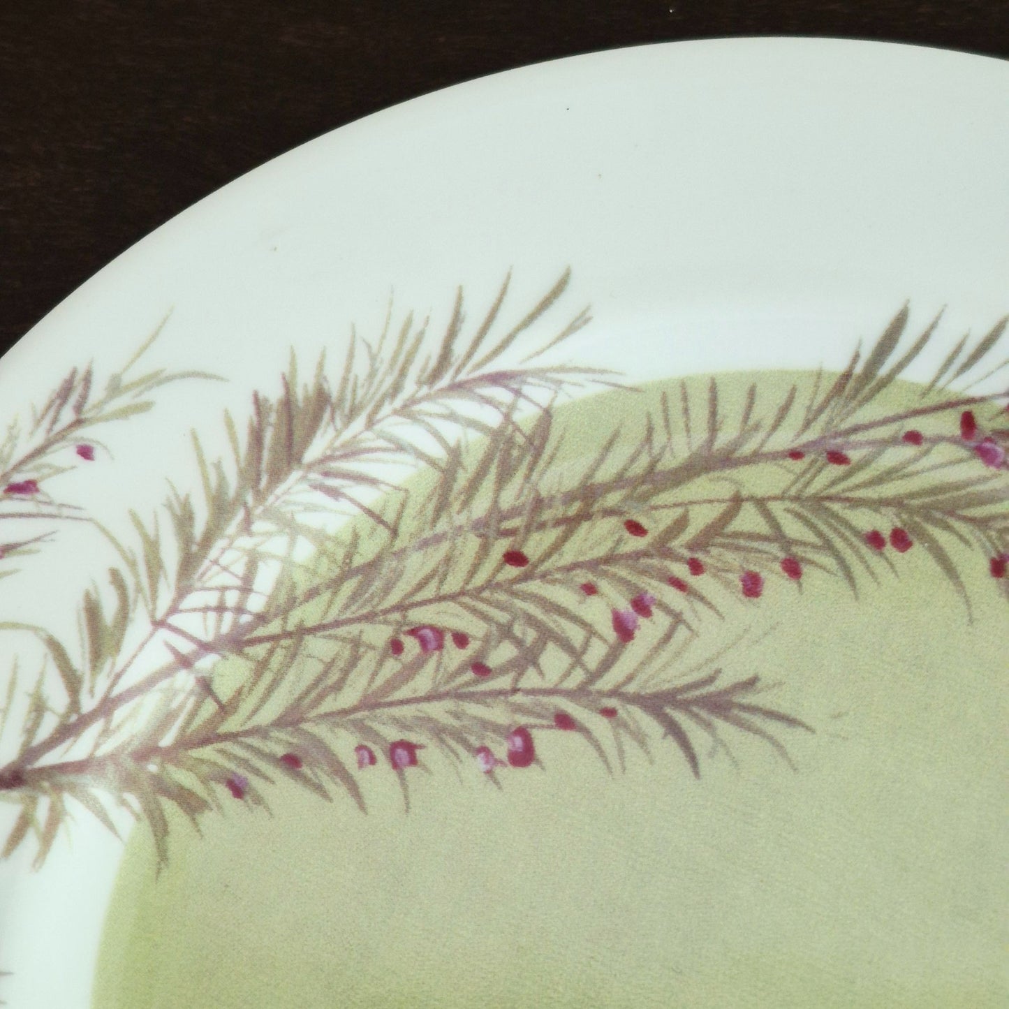 Marshall Fields & Isabelle De Borchgrave Botanical Salad Plate Set