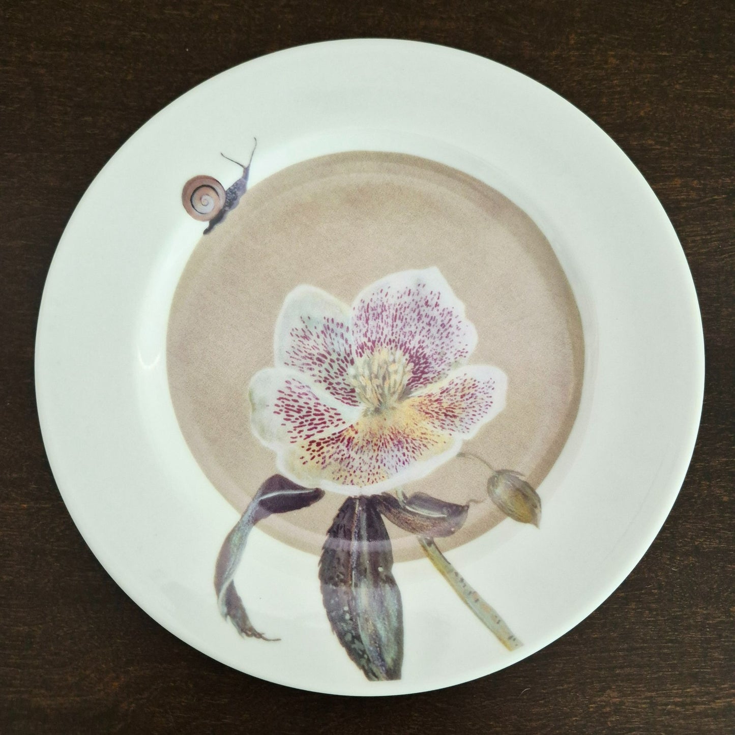 Marshall Fields & Isabelle De Borchgrave Botanical Salad Plate Set