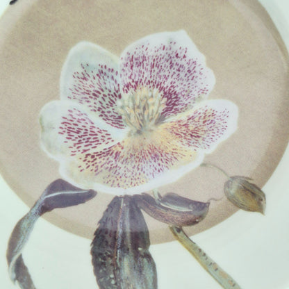 Marshall Fields & Isabelle De Borchgrave Botanical Salad Plate Set