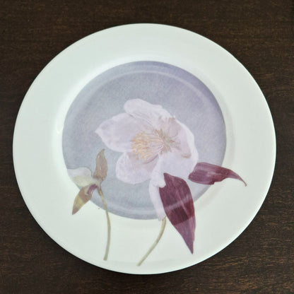 Marshall Fields & Isabelle De Borchgrave Botanical Salad Plate Set
