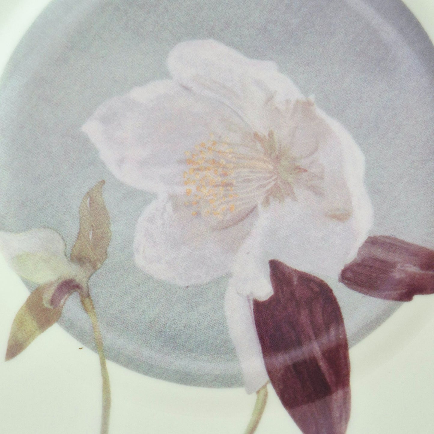 Marshall Fields & Isabelle De Borchgrave Botanical Salad Plate Set
