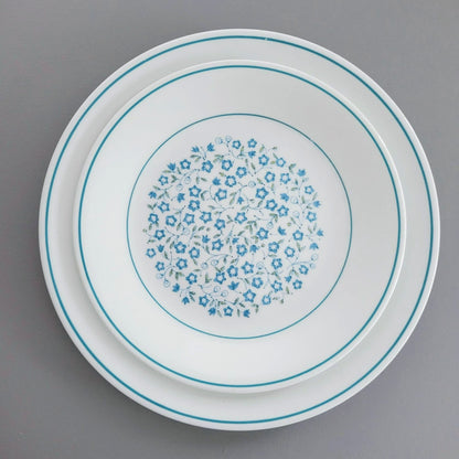 Corelle Blue Heather Dinner & Salad Plate Set of 2, c.1977-81 USA Made